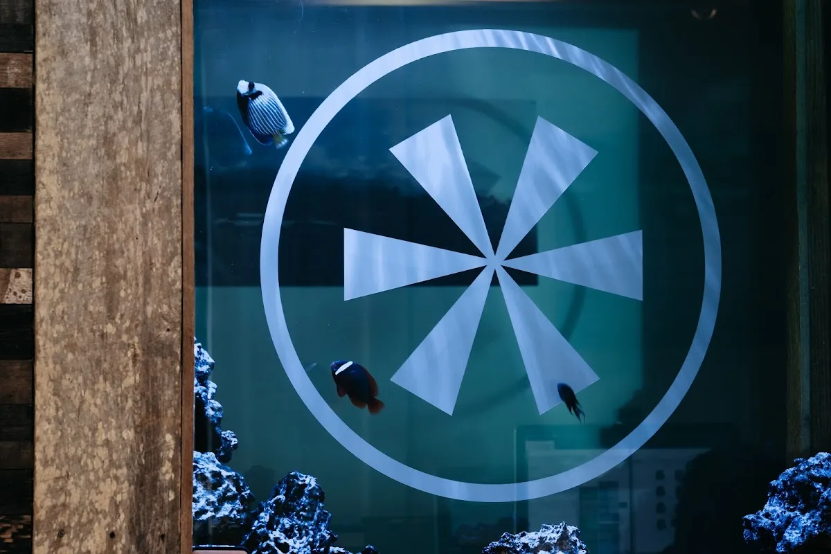 The Mint Dental — photo 2