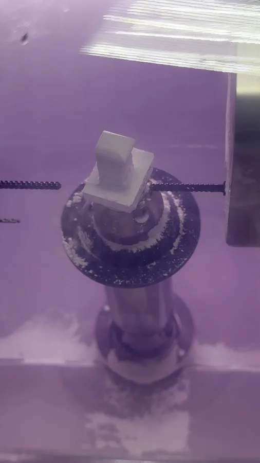 Thomas F. Brown, DDS — photo 3