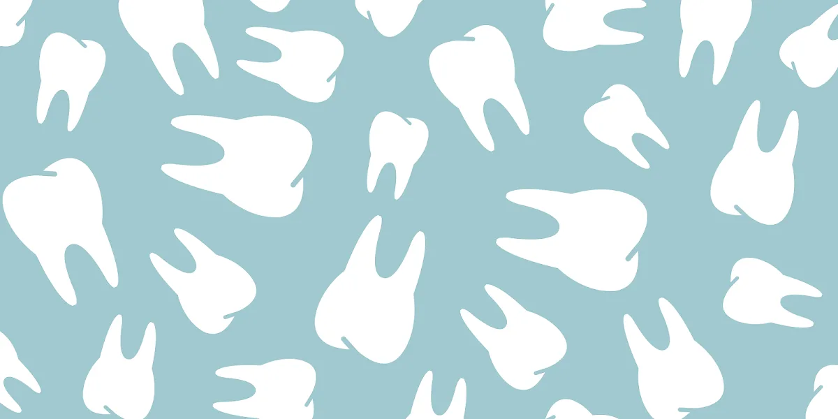 Thomas J Zumo, DDS — photo 5