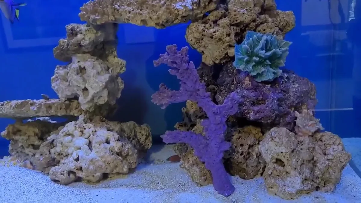 Vachon Dental — photo 3