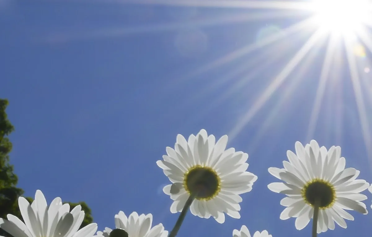 Vermont Orofacial Pain Associates