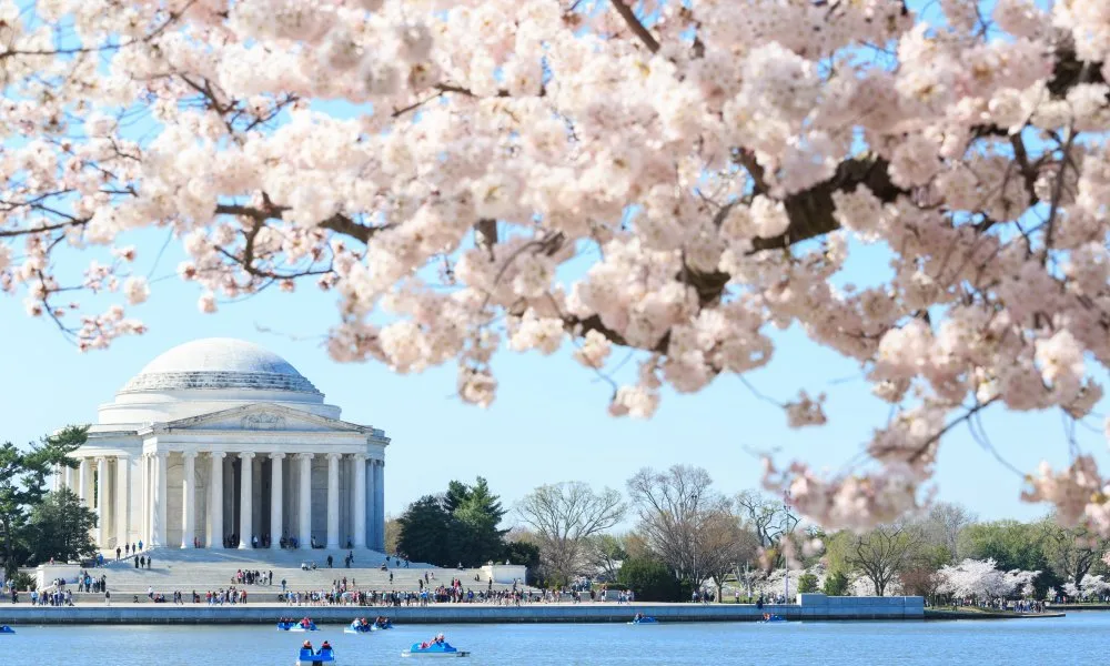 W Plus Dental of Washington DC — photo 2