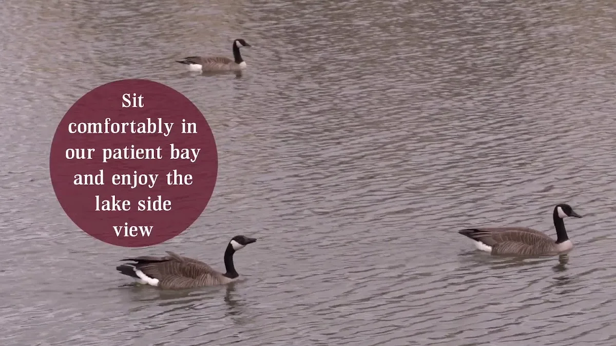 Wichita Family Dental — photo 2